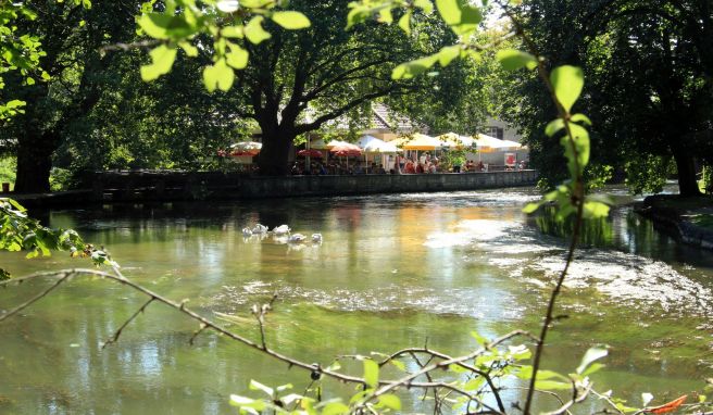 Hier blubbert\'s: Die Aachquelle gilt als größte Quelle Deutschlands.