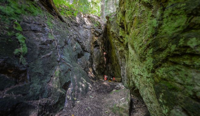 Wandern auf «Genießerpfaden» im Schwarzwald