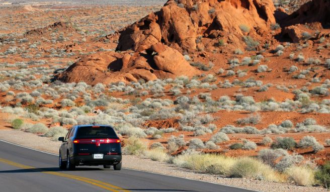 USA-Roadtrips gehen gerade besonders ins Geld