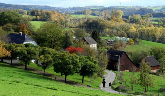 Bergbau und Fossilien: Steinreich im Bergischen Land