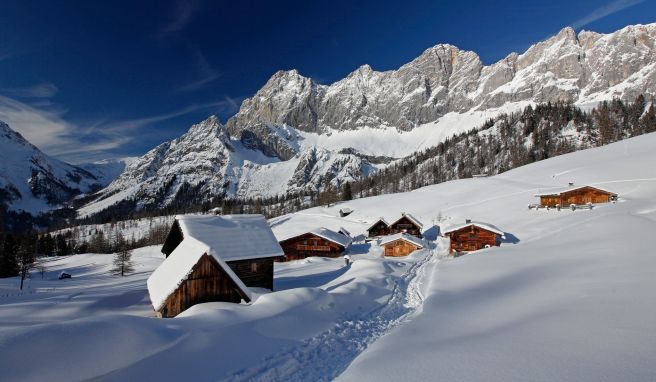 Bergpanorama und Almenlandschaft: Im Skigebiet Ski amadé kommt jeder auf seine Kosten.