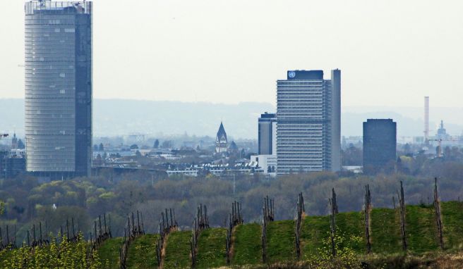 Von den Weinbergen in Oberollendorf hat man einen schönen Blick auf die Skyline von Bonn.