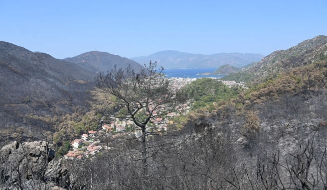 In der bei Touristen beliebten Region Marmaris hat das Feuer ganze Landstriche verbrannt zurückgelassen.