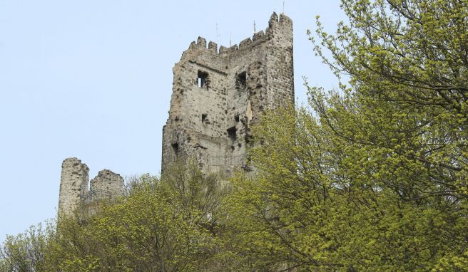 Erhebt sich wie ein hohler Zahn über dem Gipfel: die Ruine der Burg Drachenfels.