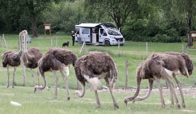 Wie IT-Programmierer Hendrik nutzen immer mehr Caravan-Besitzer Angebote von Bauerhöfen, Weingütern oder Tierfarmen, um dort kurz Halt zu machen.