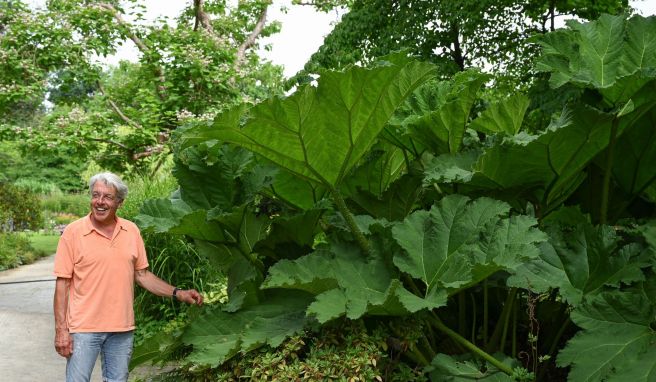 Insel Siebenbergen: Grüne Oase im Herzen Kassels