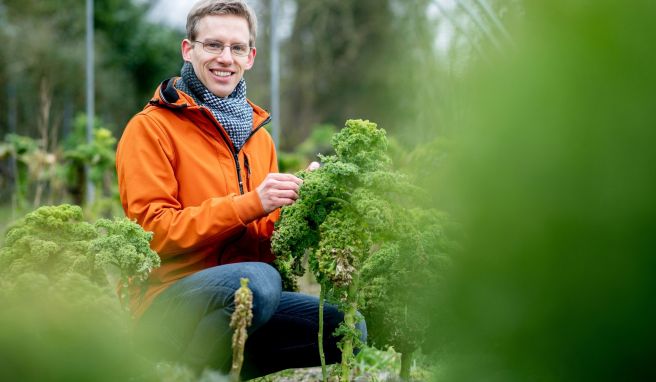 Grünkohlexperte aus wissenschaftlicher Perspektive: Christoph Hahn, promovierter Biologe, hat Sorten aus aller Welt auf ihre Inhaltsstoffe untersucht.