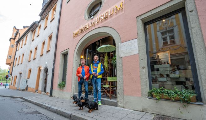 Seppi Küblbeck (r) und Oliver Storz mit ihren drei Dackeln: Wegen eines Streits mit der Passauer Stadtverwaltung ist sind sie mit ihrem Dackelmuseum nun nach Regensburg umgezogen.