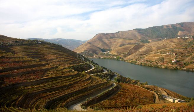 Porto: Eine Reise auf den Spuren von Tawny und Ruby