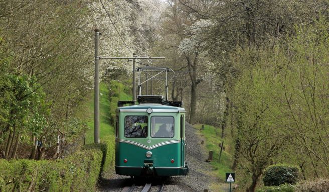 Die Drachenfelsbahn Königswinter verkehrt seit knapp 140 Jahren.