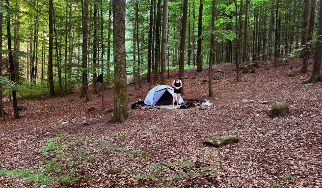 Drei laubfreie Kreise markieren die Aufstellplätze für die Zelte im Camp Grimbach. Wildnisfaktor: mehr als zufriedenstellend.