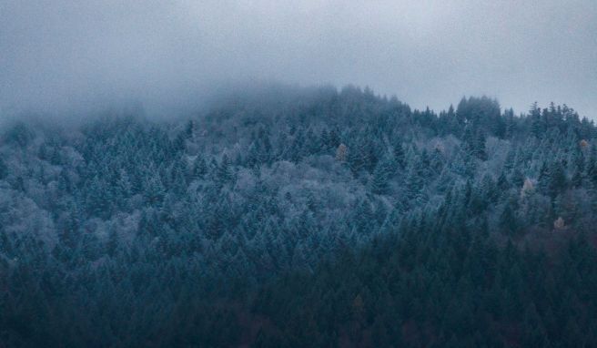 Zweitäler-Land: Die schockierende Seite vom Schwarzwald