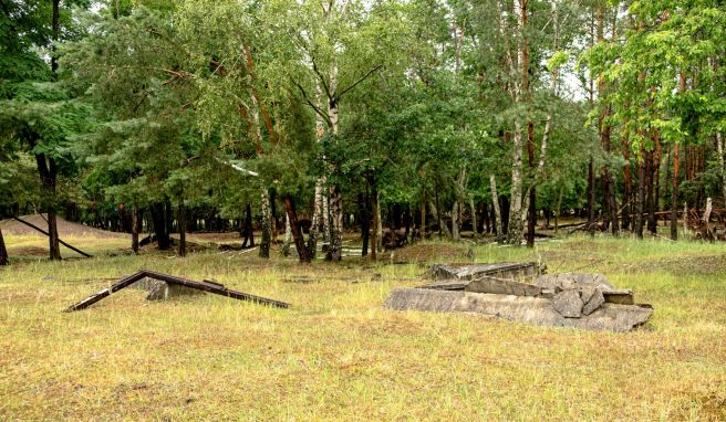 Wandern auf alten Panzerfahrspuren im Fläming