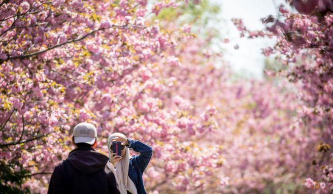 Weniger Fotos, mehr Urlaub: Schöne Momente bleiben im Kopf