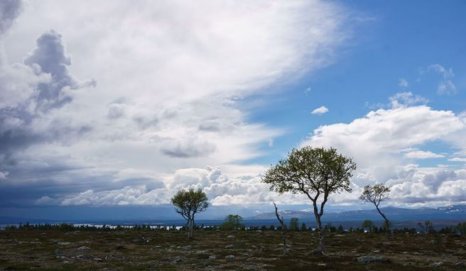 Melancholische Stimmung: Auf dem Rückweg nach Elga ziehen dunkle Wolken auf.