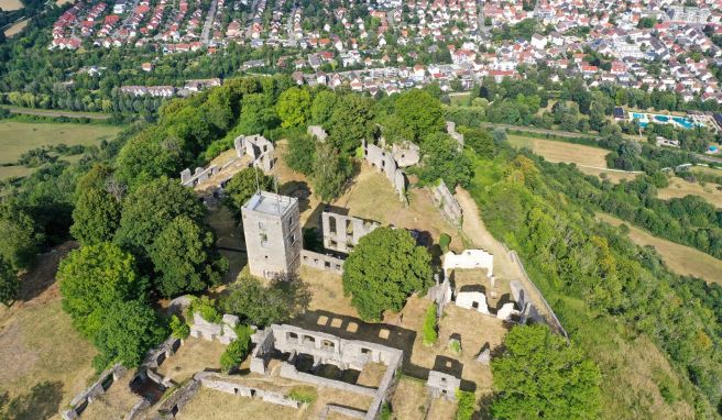 Die Festungsruine auf dem Hohentwiel zählt mit neun Hektar Fläche zu den größten in Deutschland.