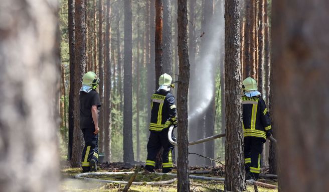 Wenn es im Wald brennt, ist Handeln gefragt. Umso wichtiger, dass man mit dem richtigen Verhalten Brände verhindern kann.