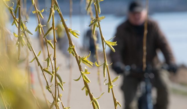 Der Frühling steht in den Startlöchern. Trotz des regenreichen Winters gibt es keine Entwarnung für Hessens Wälder.