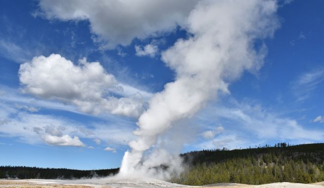 Der Geysir Old Faithful im Yellowstone National Park im Bundesstaat Wyoming bricht aus.