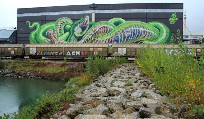 Sie schlängelt sich auf mehr als 900 Quadratmetern: eine giftgrüne Graffiti-Schlange im Linzer Stadthafen.