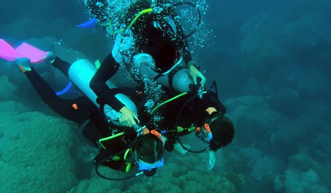 Am Great Barrier Reef darf man nur an ausgesuchten Plätzen tauchen.