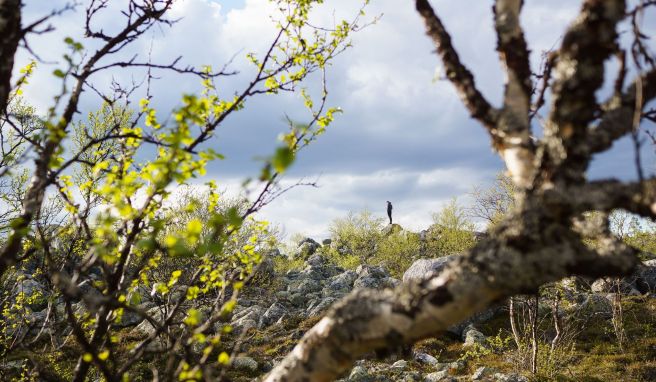 Per GPS geht es durchs Flusstal am Berg Grøthogna vorbei.