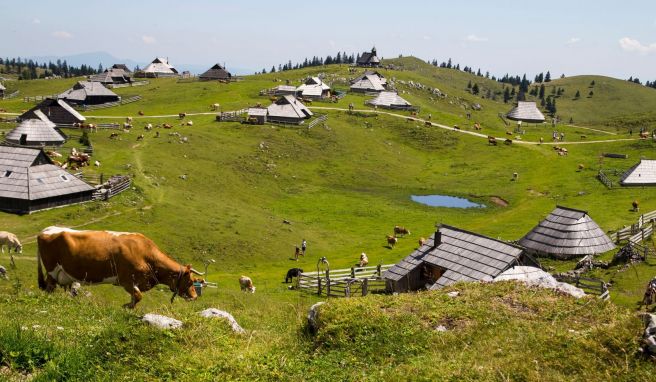 Die Bauweise der Hütten auf der Hochalm ist einzigartig in den Alpen.