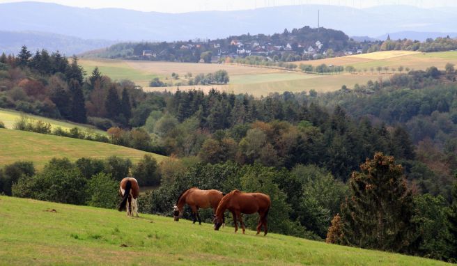 Dieser Ausblick bietet sich auf dem Rundweg Wisper-Geflüster.