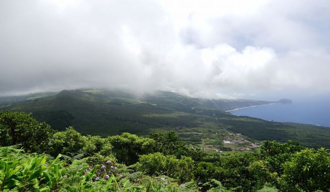 Unverschämt grün kommt die Insel Faial vielerorts daher.