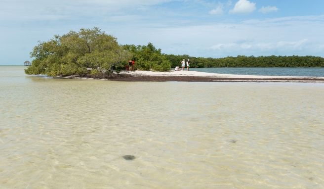 Mutet wie eine ruhige Trauminsel an, kann aber auch Party: die Insel Holbox.