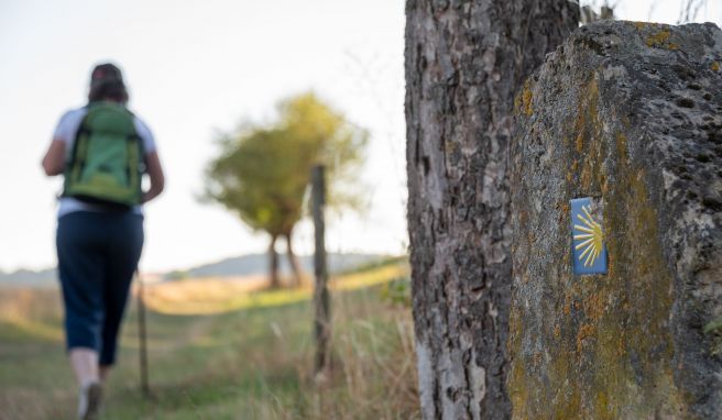 Jakobspilgerwege in Rheinland-Pfalz und im Saarland haben großen Zulauf.