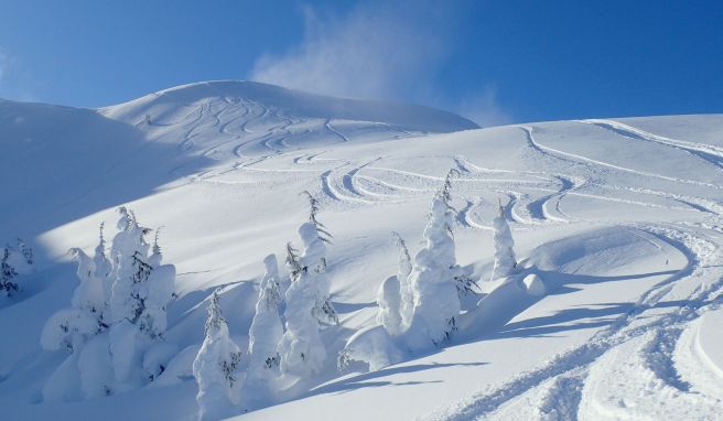 Wie Kanada zum Skifahrer-Mekka wurde