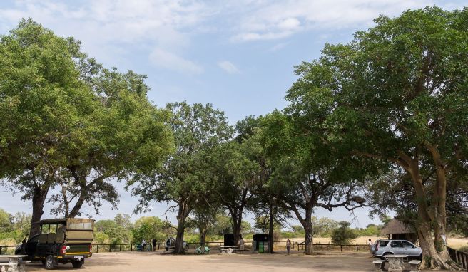 Touristen fahren durch den Krüger-Nationalpark. Der weltberühmte Krüger-Park wird in den nächsten Jahren saniert.