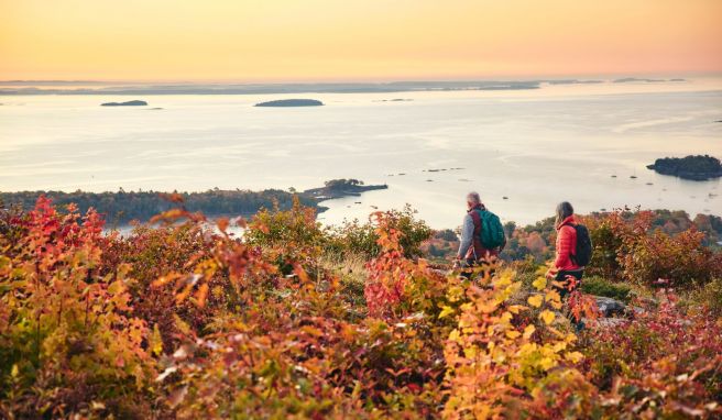 Indian Summer an der Küste des Bundesstaats Maine: So leuchtend bunt wie in den Atlantikprovinzen Kanadas oder den Neuenglandstaaten der USA zeigt sich der Herbst kaum woanders.