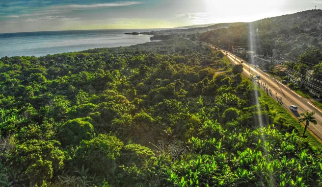 Mehr als nur Strand und Reggae-Partys: Auch eine Reise in das Landesinnere nach Montego Bay im Nordwesten Jamaikas lohnt sich.