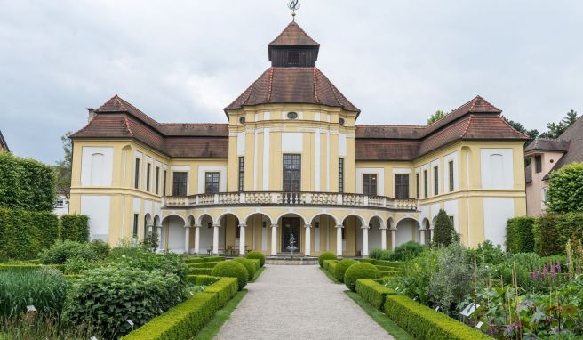 In der «Alten Anatomie» wurden früher Leichen seziert - heute findet sich hier das Medizinhistorische Museum von Ingolstadt.