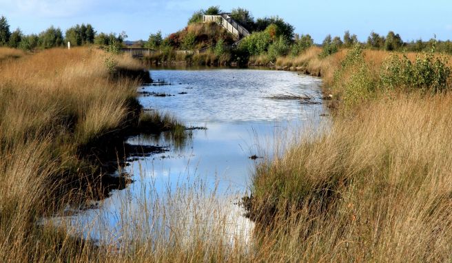 Saterland: Die Sprachinsel im Moor