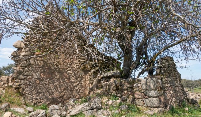 Andalusien: Entdeckungen in der Provinz Córdoba