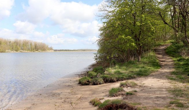 Perspektivwechsel am Neustädter Binnenwasser