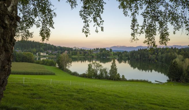 Der neue Slow Trail in Kärnten führt auf 6,5 Kilometern auch rund um den Maltschacher See - mit Aussicht auf die Nockberge.