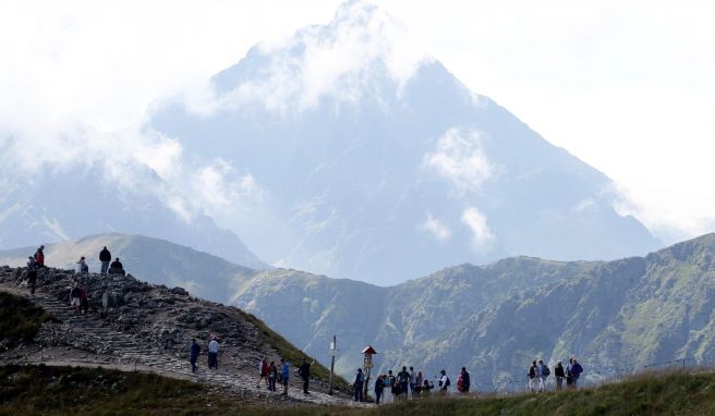 Pflaster, Kompresse: Notfallkisten an polnischen Wanderwegen