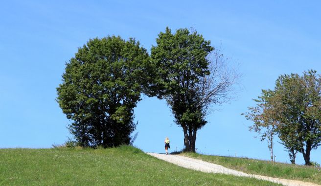 Der Hegau lässt sich auf mehreren Premiumwanderwegen erkunden.