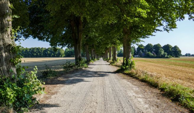 Radeln durch die Schweiz des Nordens