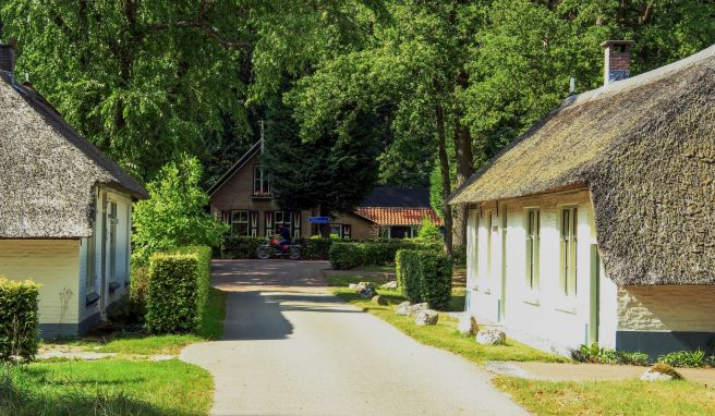 Entdeckungen in der Ur-Provinz der Niederlande