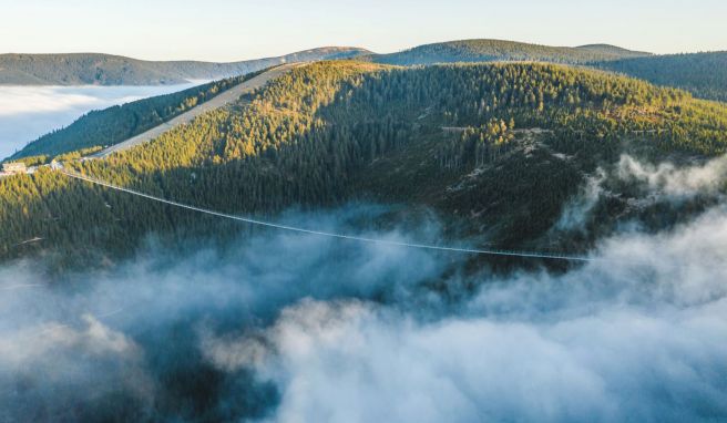 Die Skybridge 721 im Nordosten Tschechiens soll die längste Hängebrücke der Welt sein.