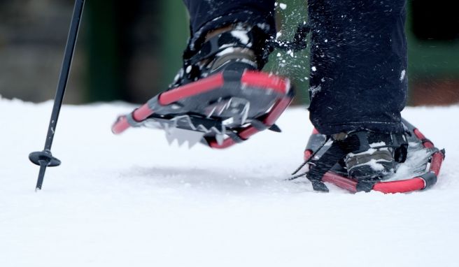 Wichtig für den Halt: Das Profil von Schneeschuhen sollte nicht bloß Dornen, sondern auch Zacken haben.