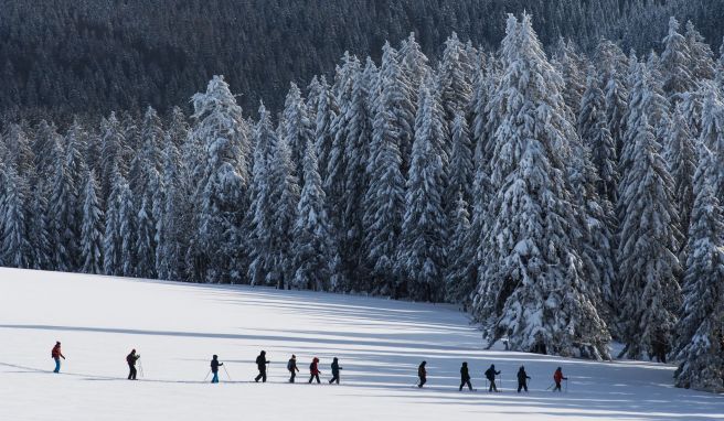 Sich den eigenen Weg bahnen: Das ist es, was Schneeschuhwanderer an ihrem Sport schätzen.