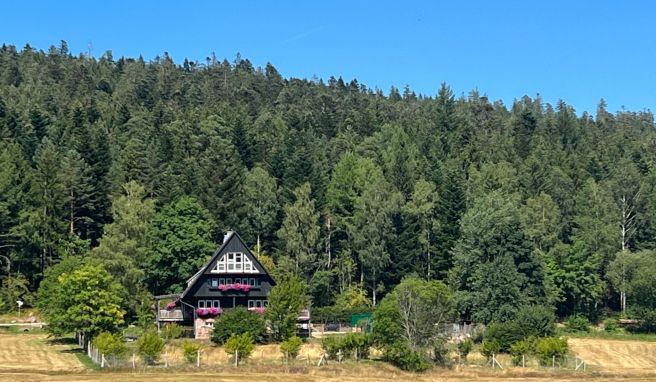 Schwarzwald-Romantik auf der Wanderung vom Mehliskopf zur Schwarzenbachtalsperre.