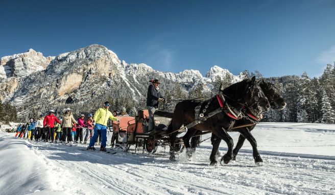 Am Ende der Skirunde in Sas Dlacia ziehen Pferde Skifahrer einen leichten Anstieg hinauf. Vorausgesetzt, man kommt rechtzeitig. 16 Uhr ist Schluss.