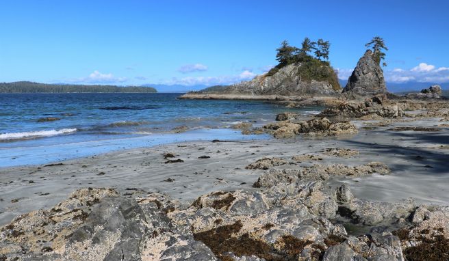 Rau und zerklüftet: ein Strand bei Bamfield an der Westküste von Vancouver Island.